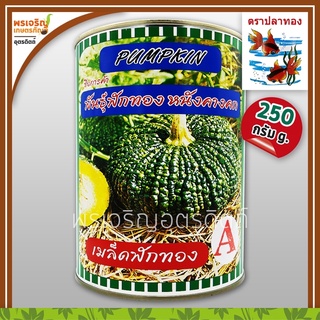 เมล็ดพันธุ์ฟักทอง ฟักทองหนังคางคก พันธุ์ A (250 กรัม) เมล็ดฟักทองคางคก ฟักทองลูกใหญ่ เมล็ดพันธุ์ผักสวนครัว ตราปลาทอง