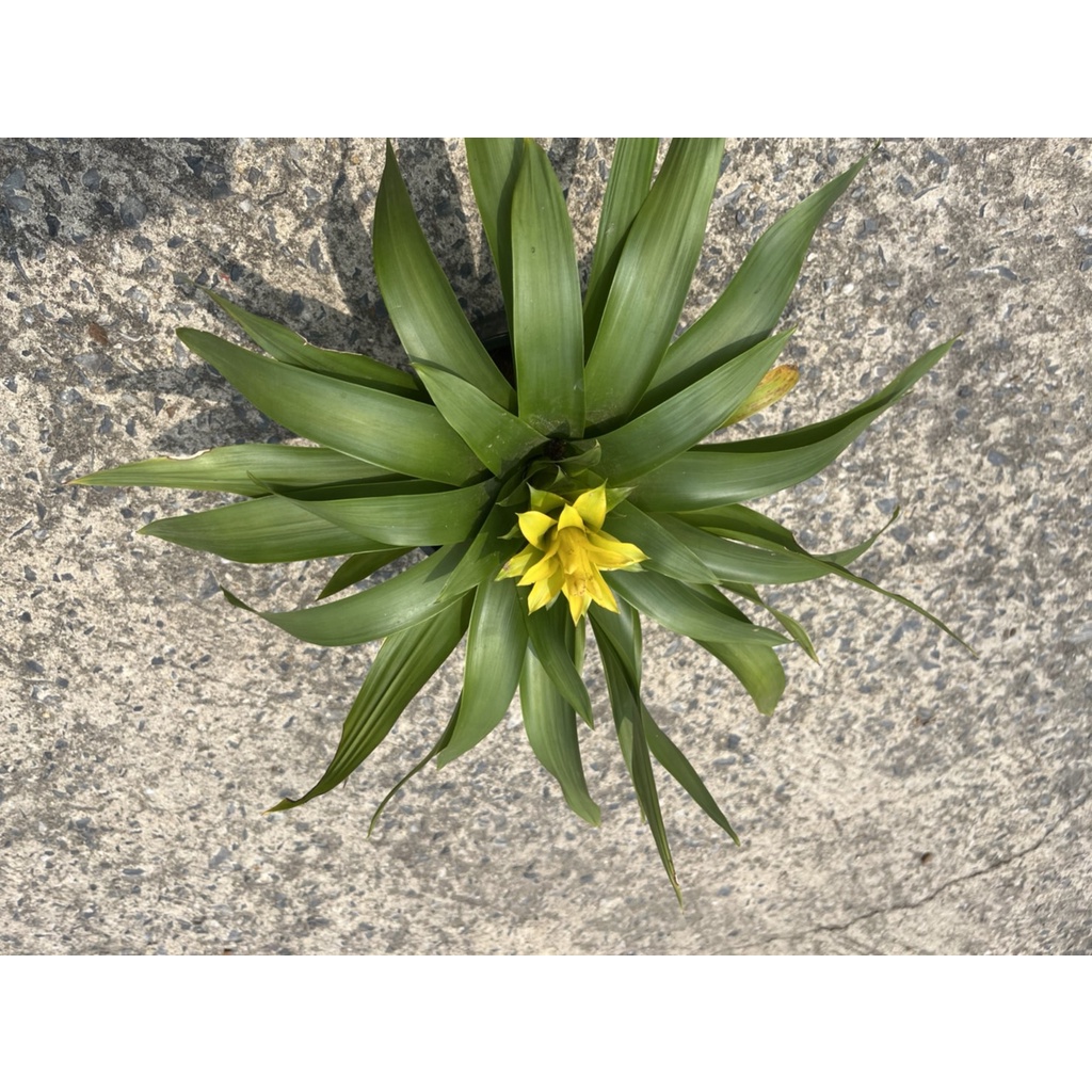 มุมมอง 5