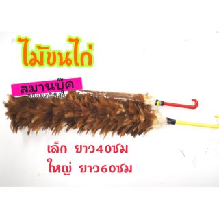 ไม้ขนไก่ ขนแน่น เกรดดี มี2ขนาด