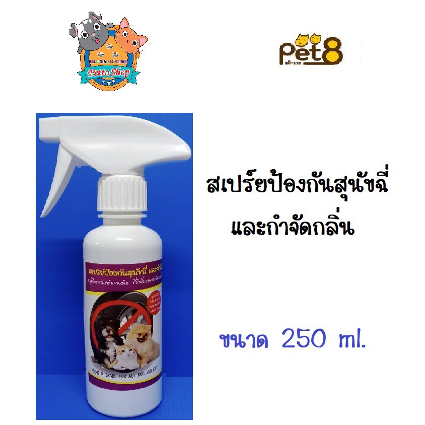 My Image 26