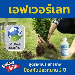 ยาปลวก น้ำยากำจัดปลวก ยากำจัดปลวก ยาฉีดปลวก เอฟเวอร์เลท EVERLET ปลวกตายถึงรัง