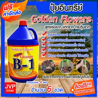 *ส่งฟรี**วิตามิน บี-1น้ำยาเร่งราก Golden Flower ขนาด 4 ลิตร จำนวน 6 ขวด เรียกราก B-1 รากเดินดี โตเร็ว เร่งการแตกราก