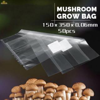 Grow Bag Polypropylene Growing Breathable Thick High temperature resistance 15*35cm 50pcs Planter Supplies Spawn