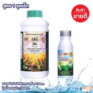 สูตร 1 ชุดเล็ก เอฟอช 100cc. + แกรมม่าทู 500cc. เร่งการแทรกซึมใบและเร่งติดดอกแตกยอด