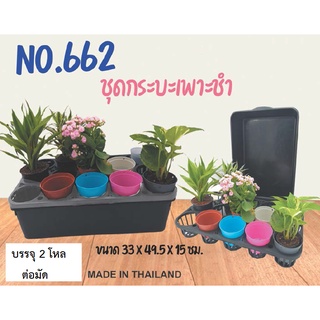 [ขายส่ง 24 ชุด] ชุดตะกร้าเพาะชำ 15 หลุม พร้อมกะละมัง (33*49.5*15 cm) No.662