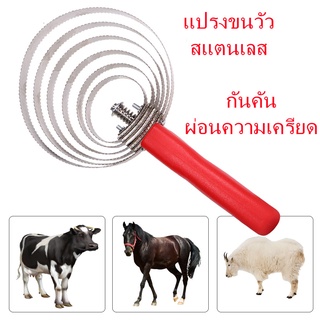 แปรงขนวัว แปรงขนม้า แปรงขนแพะ 4 วง/ 6 วง สแตนเลส 403 กันคัน ผ่อนความเครียด ช่วยให้ขนสลวยสวยงาม วัวไม่ดื้อ