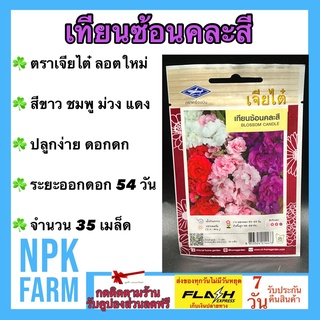 ผักซอง เจียไต๋ เทียนซ้อนคละสี จำนวน 35 เมล็ด/ซอง เมล็ดพันธุ์ ลอตใหม่ ดอกไม้ซอง ดอกคละสี สีขาว ชมพู ม่วง แดง ออกดอกดก