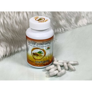 ASIA  KRACHAI White Galingale Extract ( 1 กระปุก 100 แคปซูล)