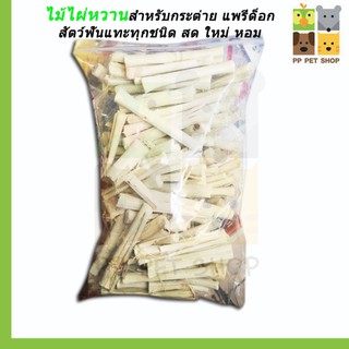 ไผ่หวาน ไม้ไผ่หวานสำหรับกระต่าย แพรี่ด็อก สัตว์ฟันแทะทุกชนิด สด ใหม่ หอม ขนาด 1 Kg ราคา 340 บ.