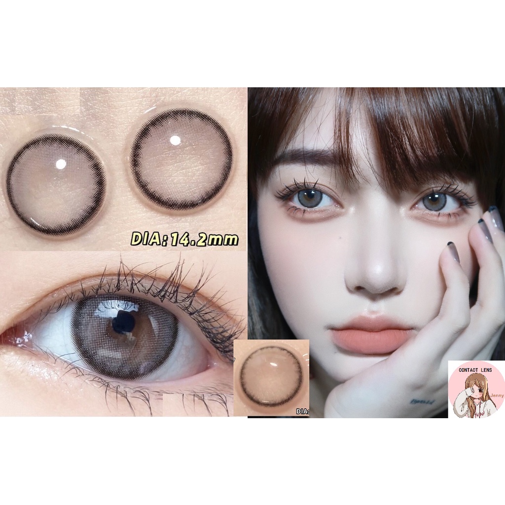 (1 คู่) WBZHU Series ColorPinto Brand , 14.20mm,Gdia 13.5mm , (เกรด 0-8), คอนแทคเลนส์รายปีใช้(grey)