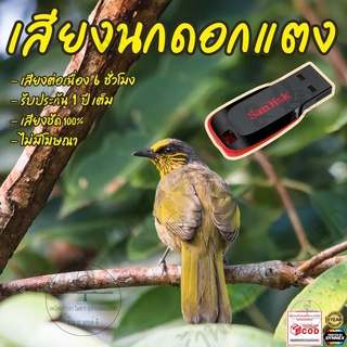 เสียงต่อ นกดอกแตง ยาว6ชั่วโมง ไม่มีโฆษณา แฟลชไดร์ฟ(Flash Drive) มีเก็บเงินปลายทาง