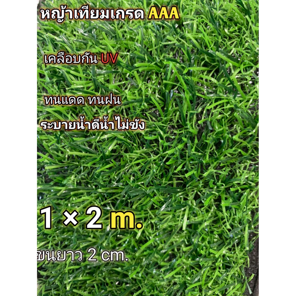 หญ้าเทียมราคาถูก 2cm. 1x1 และ 1x2 เมตร สั่งตัดได้เกรดAAAพร้อมส่ง