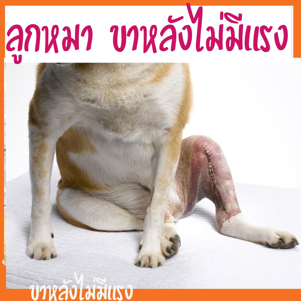 My Image 14