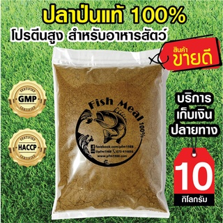 ปลาป่นแท้100% สำหรับอาหารสัตว์ โปรตีน 50%-65% คุณภาพสูง 10 กิโลกรัม