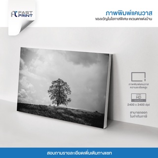 ภาพพิมพ์แคนวาสพรีเมี่ยม รูปขาวดำ โดดเดี่ยว โทนมืด ตกแต่งบ้าน ความละเอียดสูง 2400x2400dpi