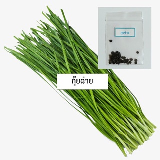 เมล็ดกุยช่าย 30 เมล็ด (ซื้อ10แถม1 คละได้)