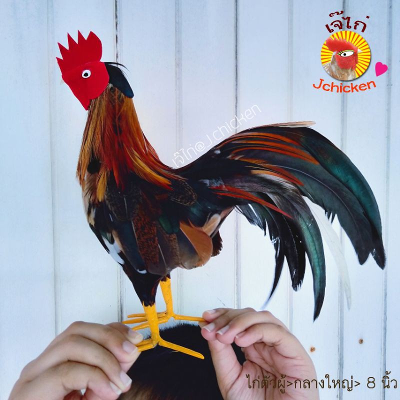 ไก่แก้บน (ตัวผู้) ขนาดกลางใหญ่ 8 นิ้ว > ใช้ขนไก่จริง