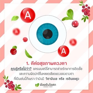 Herbal One Cranberry เฮอร์บัล วัน สารสกัดจากผลแครนเบอร์รี่ [60 แคปซูล]