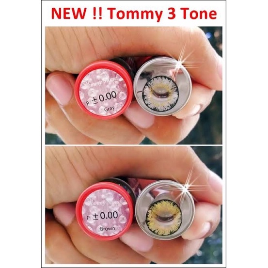 คอนแทคเลนส์ tommy 3tone gray  /tommy 3tone brown
