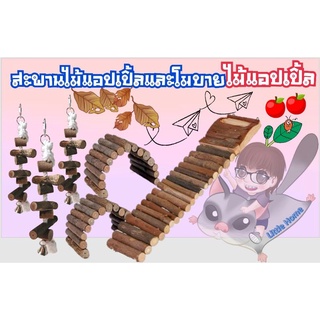 ของเล่นสัตว์ฟันแทะ (สำหรับสัตว์เลี้ยง)