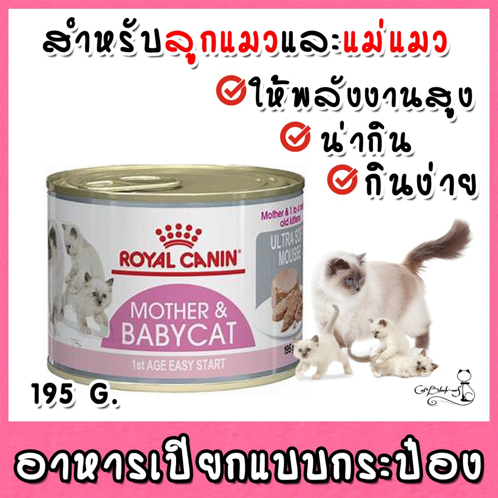 Royal Canin Babycat Can 195g