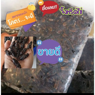 จิ้งหรีด​ไข่​ต้มแล้ว​ เกรดAไข่แน่นคัดพิเศษๆ1000กรัมฟรีลังโฟมครับ