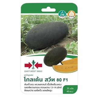 [พร้อมส่ง] HomeDoDee แตงโม F1 โกลเด้นสวีท 80 เมล็ด เมล็ดพันธุ์ เมล็ดพันธุ์พืช