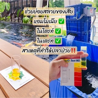 Tn Fresh Bac จุลินทรีย์ปรับสภาพน้ำใสไร้กลิ่น สำหรับบ่อปลาตู้ปลา สำหรับปลาคาร์ฟ ปลาทอง และปลาน้ำจืดทุกชนิดปลอดภัย 100%