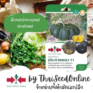 GGEW เมล็ดพันธุ์ซฟ ฟักทองประกายทอง ตราศรแดง Pumpkin