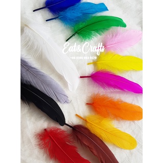 Goose Feather ขนเป็ด เส้นขนเป็ด (แบ่งขาย 6เส้น) ขนนก สีสวย ขนนุ่ม มีหลายสี พร้อมส่ง ใช้ตกแต่งได้อเนกประสงค์ for various