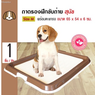 Dr.Lee Dog Training Tray Dog Toilet For Medium and Large Size Dogs Size M 65x54x6 cm.