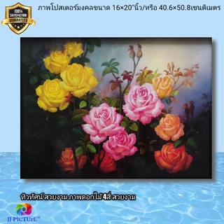 ภาพโปสเตอร์ ดอกกุหลาบหลากสี ดอกไม้แห่งความรัก ขนาด16×20"นิ้ว