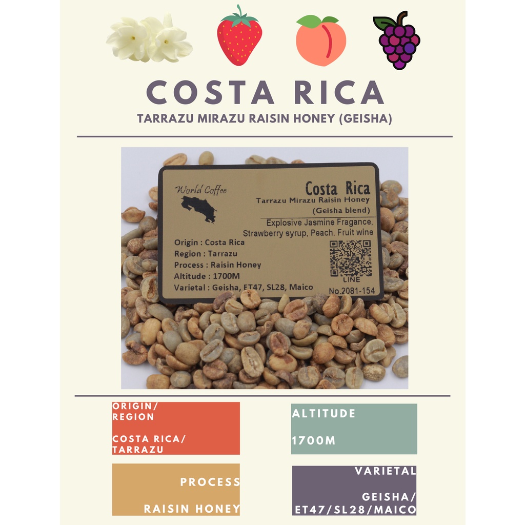 พร้อมส่ง เมล็ดกาแฟดิบ Costa Rica Tarrazu Mirazu (Geisha blend) Raisin Honey process/ เมล็ดกาแฟนอก/ เ