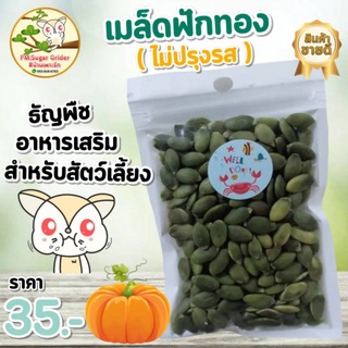 อาหาร-อาหารเสริม สัตว์ฟันแทะ เมล็ดฟักทอง (ไม่ปรุงรส)