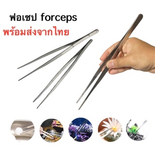 ที่คีบฟอร์เซป forcep ที่คีบใหญ่ ใช้คีบหน่อ ใช้เด็ดหน่อใช้คีบเกสร และผสมเกสรแคคตัส  ผสมเกสร แคคตัส กระบองเพชร