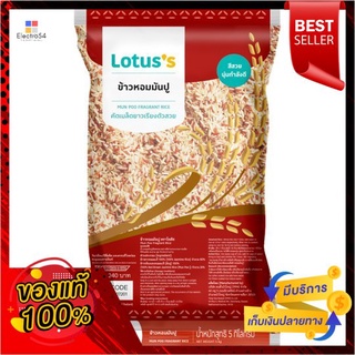 โลตัสข้าวหอมมันปู 5กก.LOTUSS MUNPOO FRAGRANT RICE 5 KG.