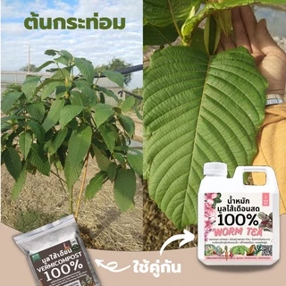 มูลไส้เดือน ปุ๋ยมูลไส้เดือน (1kg) ปุ๋ยหมักผสมมูลไส้เดือน สูตรเพิ่มธาตุอาหาร คุณภาพสูง