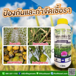 โรคพืช คาร์เบนดาซิม 1 ลิตร โรคใบไหม้ ใบจุดสีน้ำตาล ราแป้ง เมลาโนส ใบจุดสีม่วง คูลเกษตร KF6