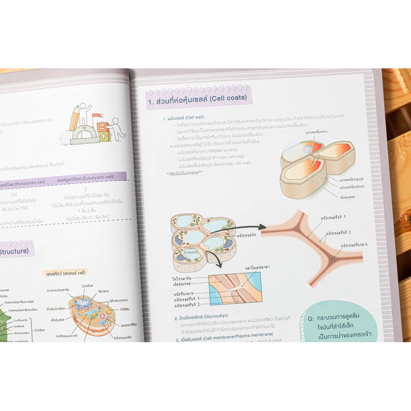 SHORT NOTE AND TEST ติวเข้ม ชีวะ ม.ต้น พร้อมแนวข้อสอบ พิชิตข้อสอบเต็ม 100% (Think Beyond : IDC) 6249 - รูปที่ 5