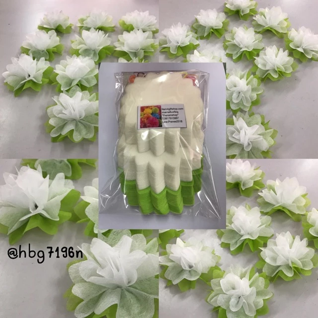 กระดาษสาห่อเหรียญเขียวขาว1ห่อมี300แผ่นยาง1ห่อ นำไปห่อได้100ดอก ขอบกลีบบัว #สินค้าขายดี #กระดาษสาห่อเหรียญ