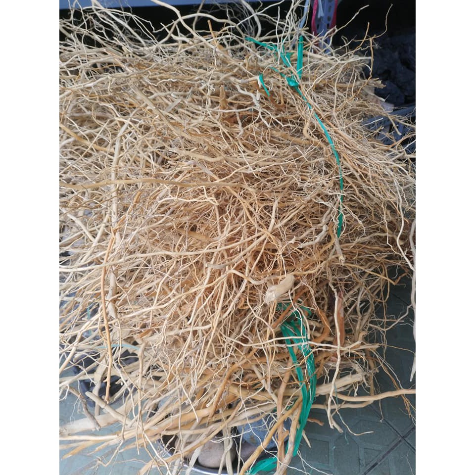 Elastic Forest Root Driftwood 100g - Aquarium Setup Driftwood