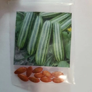 แตงไทยอ่อน📌ถูกที่สุด10 บ.📌เมล็ดพันธุ์แตงไทยอ่อน10 เมล็ด☘️กินลูกอ่อน🌱ลูกดก🌱ปลูกง่าย