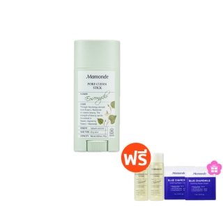 Mamonde Pore Clean Stick 18g. มามอนด์ พอล คลีน สติ๊ก