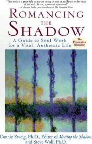 Romancing the Shadow : A Guide to Soul Work for a Vital, Authentic Life by Connie Zweig (ฉบับสหรัฐอเ