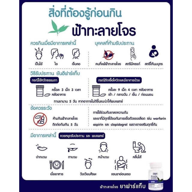 ยันฮี ฟ้าทะลายโจร (YA FARTAB) - รูปที่ 2