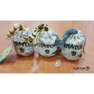 CAT IN THE BAG! แมวในถุงผ้า