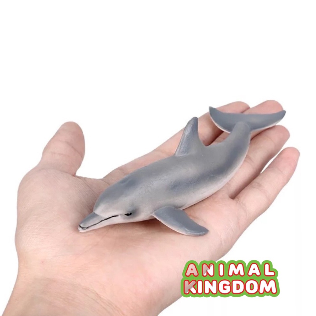 Animal Kingdom - โมเดลสัตว์ ปลาโลมา เทา ขนาด 14.00 CM (จากสงขลา)