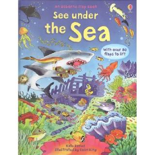 DKTODAY หนังสือ USBORNE SEE UNDER THE SEA