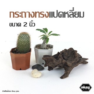 ขั้นต่ำ 10 ใบ Okay plas กระถางแปดเหลี่ยม  2 นิ้ว