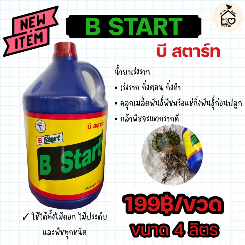 น้ำยาเร่งราก Bstart ของแท้ บีสตาร์ท 4ลิตร ทีเร็กซ์ B1 ปุ๋ยน้ำ ธาตุอาหารเสริม